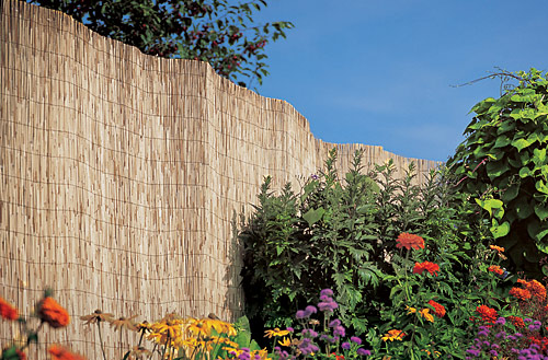 Reed Fence