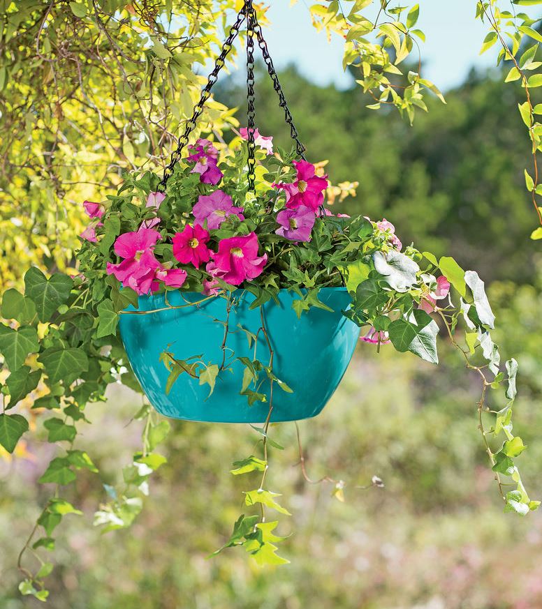 Hanging basket