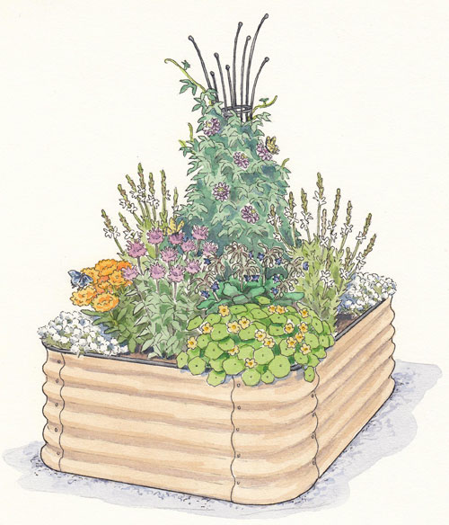 Illustration of raised bed