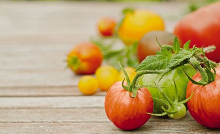 tomatoes on the vine placed on a picnic table 