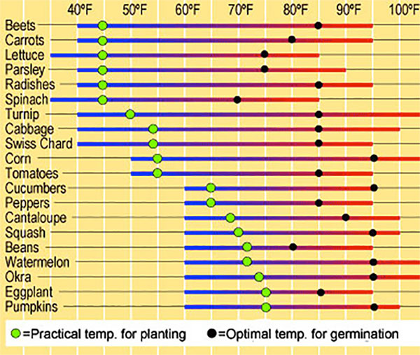 Seedstarting timetable