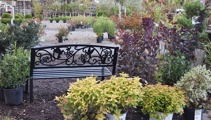 bench at garden center