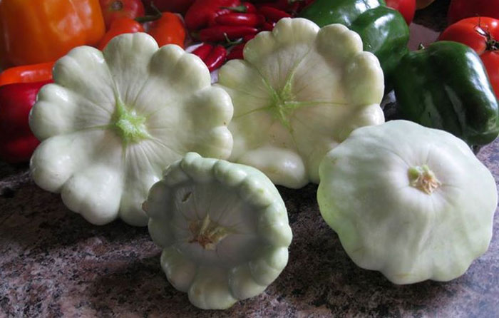 Pattypan Squash.jpg